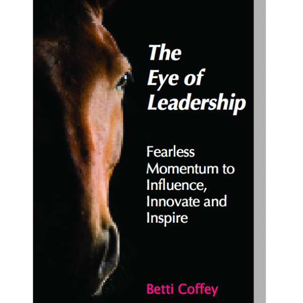 Eye of Leadership Book